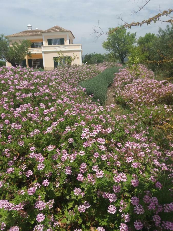 Casa Dos Ventos Bed and Breakfast Olhão Εξωτερικό φωτογραφία